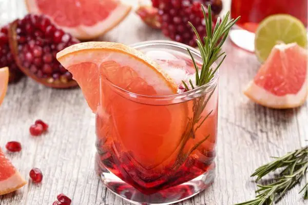 Cranberry-Gin-Tonic-600x400
